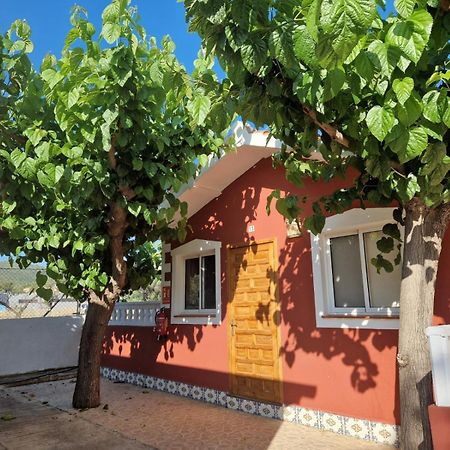 Camping Los Pinos Peniscola Ngoại thất bức ảnh