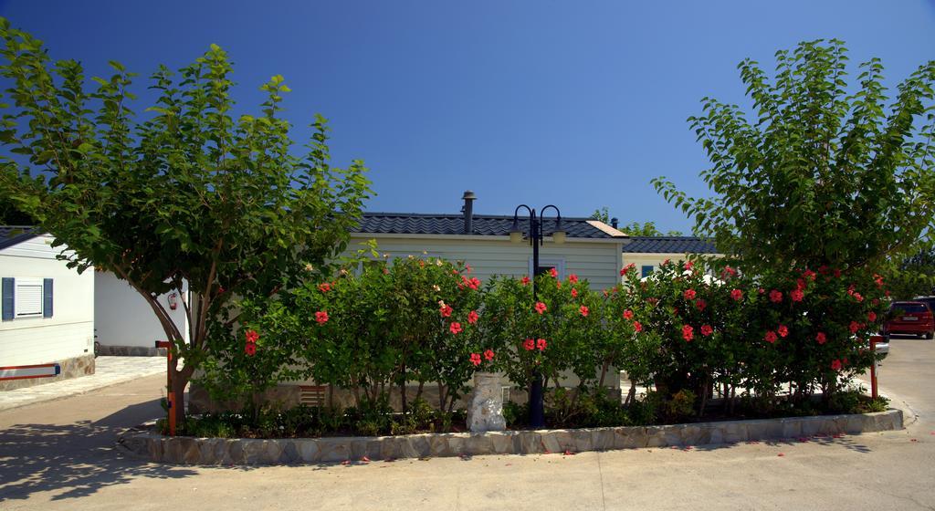 Camping Los Pinos Peniscola Ngoại thất bức ảnh